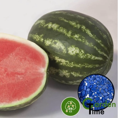 Арбуз Garden Time с разрезом и логотипом - Шейни