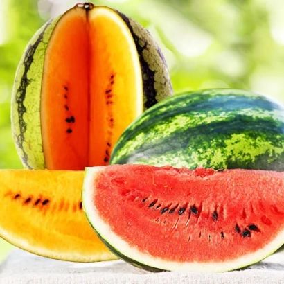 Арбуз и дыня нарезанные, свежие плоды - Сичовий