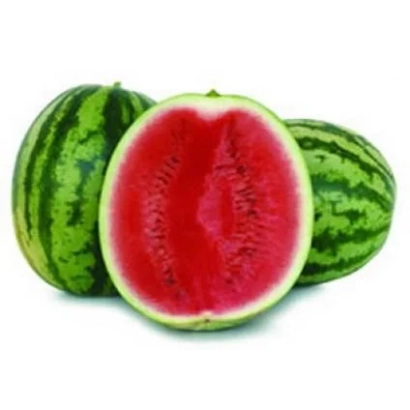 Арбуз: целый и разрезанный плод с ярко-красной мякотью - СИЛВИА