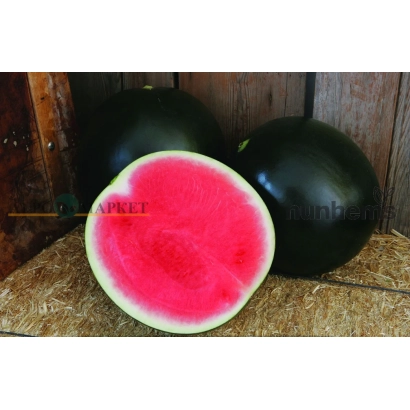 Slice of watermelon 'Style | Style' on wooden background