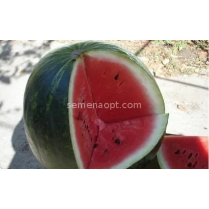 Кусок арбуза СВЯТОСЛАВ на деревянной поверхности