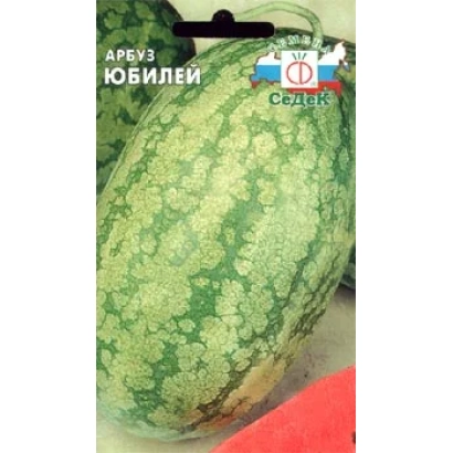 Watermelon YUBILEY on red background - 72TH ANNIVERSARY