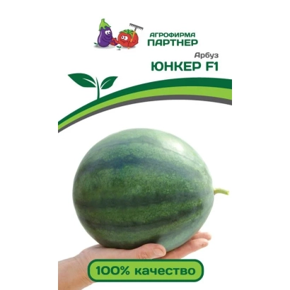 Семена арбуза Юнкер F1 на фоне логотипа Агрономия Партнер
