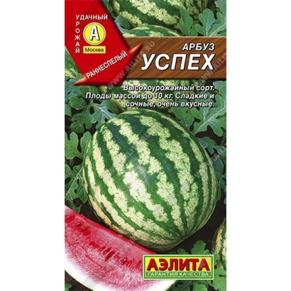 Арбуз УСПЕХ на фоні листя та розрізаного плода - Успіх