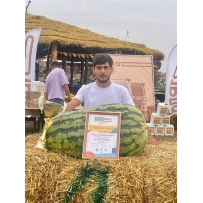 Мужчина держит большой арбуз ВАХІД на фоне соломы и выставочного стенда. - ВАХИД