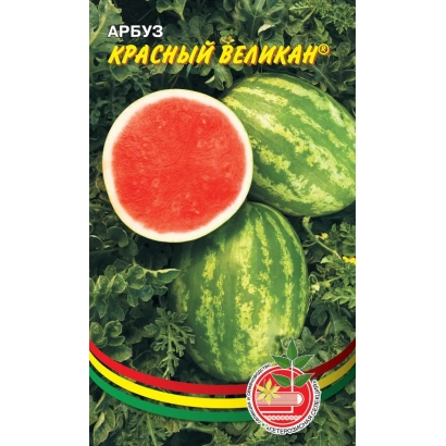 Семена арбуза Красный Великан на фоне листьев и целых плодов.