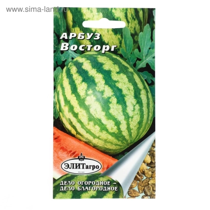 Пакет семян арбуза Восторг с изображением спелого плода и семян