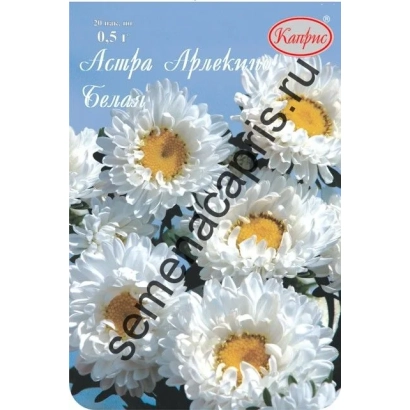 Arlekinno White aster seeds on packaging - ARLEKINO WHITE