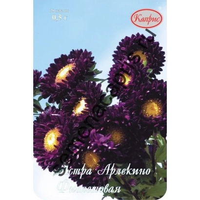 Arlekino Violet aster seeds on packaging - ARLEKIN VIOLET WITH WHITE