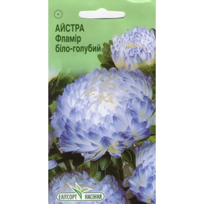 Насіння астра Фламир біло-блакитна на зеленому фоні