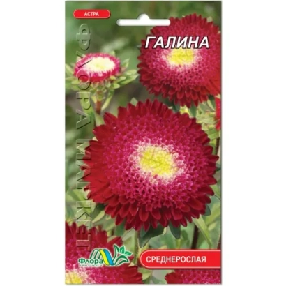 Пакет семян астры Галина с изображением цветка