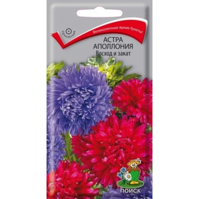Seed packet of aster Apollinia with flower images - HAVSKY SUNSET