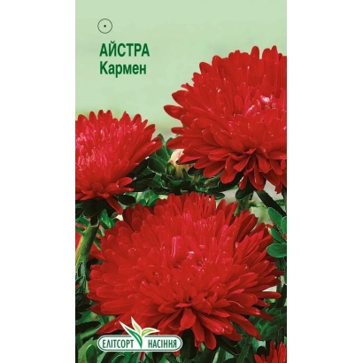 Насіння астра кармен на зеленому фоні