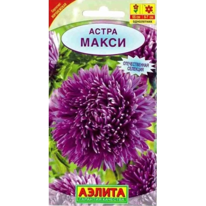 Семечки астры Макси на упаковке Аэлита