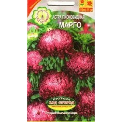 Seed packet of aster MARGO with image of pink flowers