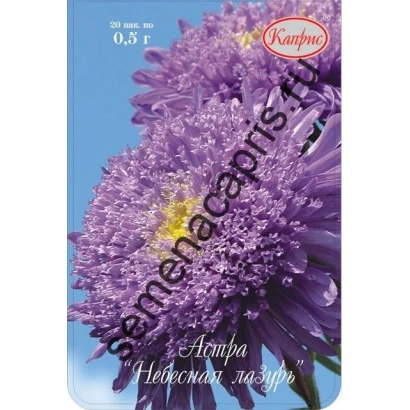 Насіння астра Небесна блакить на фоні квітки