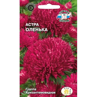 Seed packet of aster Olenka with image of bright pink flowers