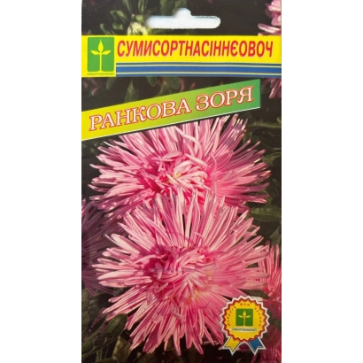 Семена астры сорта Ранкова Зоря на упаковке