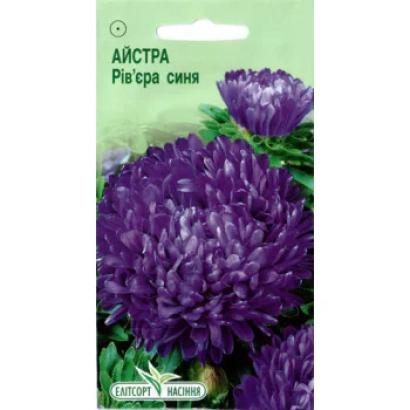 Riviera blue aster seeds on green packaging
