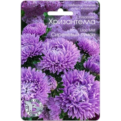 Пакет с семенами хризантемы 'Сиреневый Туман' на фото фиолетовых цветов