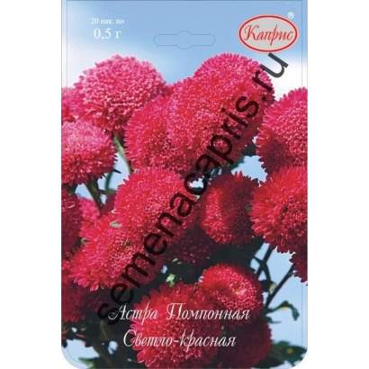 Насіння астра сорту ДОСКОНАЛІСТЬ