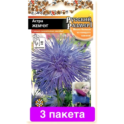 Seed packet of aster Pearl with flower image - STARRY PEARL