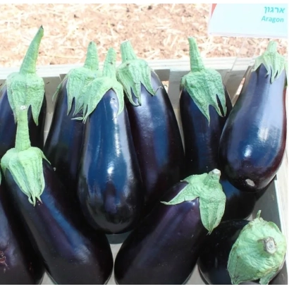 Свіжі баклажани в дерев'яному ящику - АРАГОН