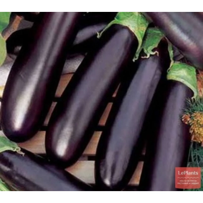 Свежие баклажаны на деревянной решетке - АСТРАКОМ