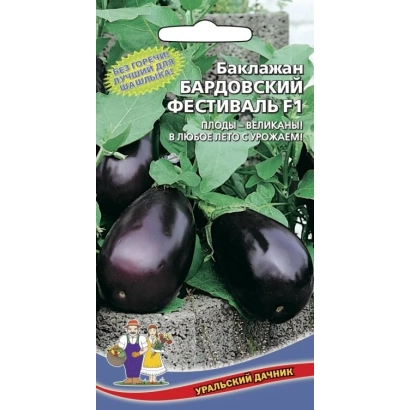 Eggplant seeds variety «BARDOVSKIY FESTIVAL» on a background of leaves and fruits