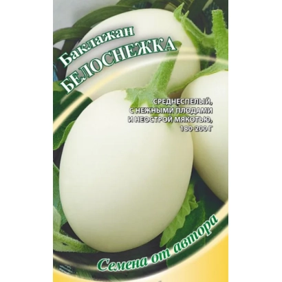 Eggplant seeds Snow White on green background