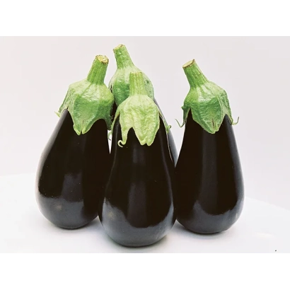 Четыре баклажана сорта Блек Перл на белом фоне