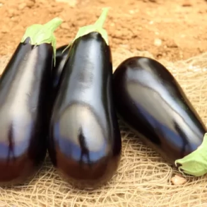 Три баклажана на мешковине - Чивас