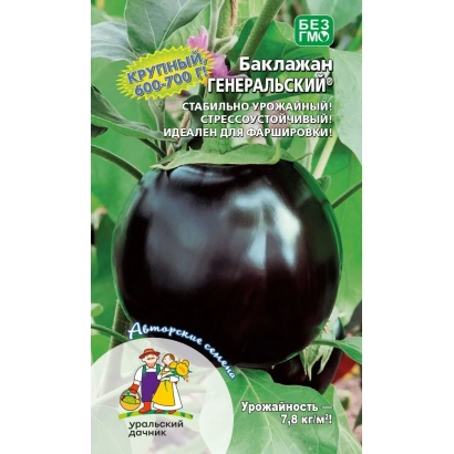 Eggplant seeds Generalsky on green background - GENERALSKIY