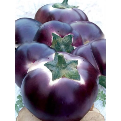 Свежие баклажаны сорта Гелиос на деревянной подставке