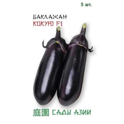 Два баклажана сорта КОКУЮ F1 на белом фоне