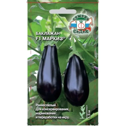 Семена баклажана сорта Маркиз на зеленом фоне