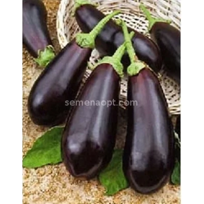 Свежие баклажаны на фоне сена - МЕДВЕЖОНОК