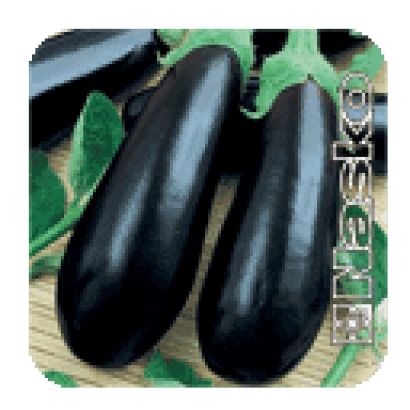 Два баклажана сорта Надир на зелёном фоне