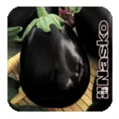 Семена баклажана сорта Негус на упаковке