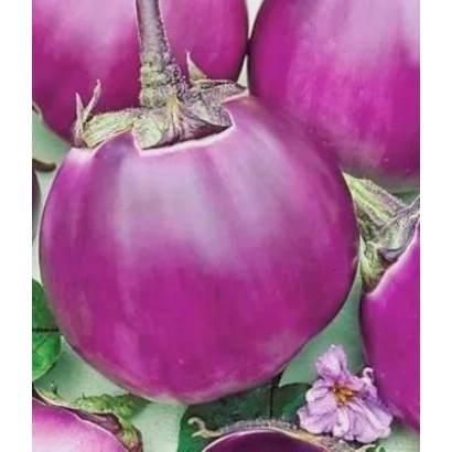 Крупный фиолетовый баклажан на фоне других овощей и цветка - ПЯТАЧОК