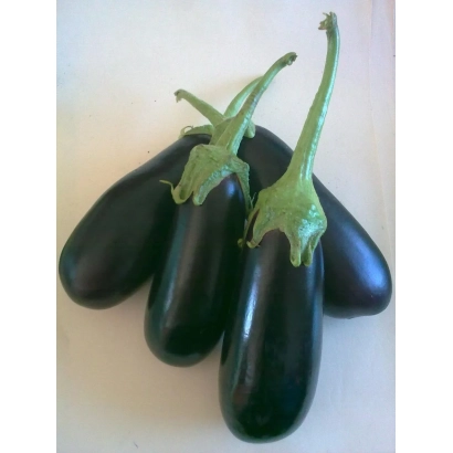 Три баклажана сорта Сапфир F1 на светлом фоне