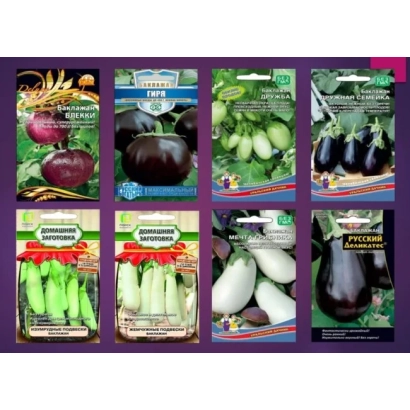 Пакет насіння баклажан СВ 1574 ЄВ