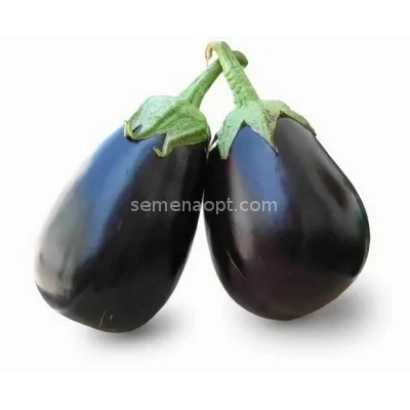 Два баклажана на белом фоне с водяным знаком semenaopt.com - ВИННИ ПУХ