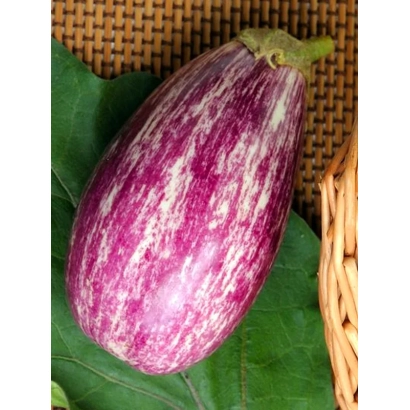 Свежий баклажан сорта ЗАМОРСКИЙ ПОЛОСАТИК на зелёном листе