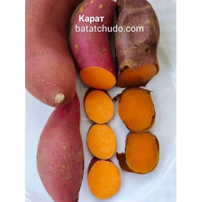 Свежий батат Карат с нарезанными дольками на белой тарелке