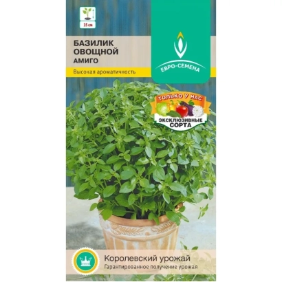 Seed packet of basil Amigo with plant image