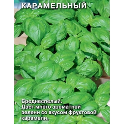 Семена базилиса сорта Карамельный