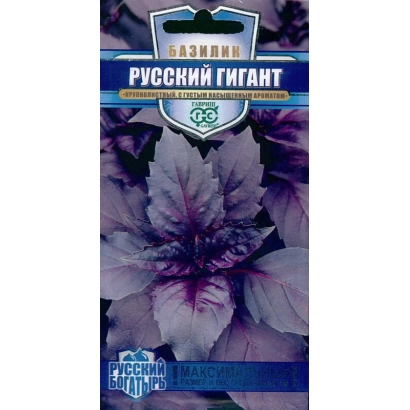 Seed packet RUSSIAN GIANT with image of purple basil