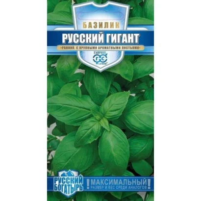 Seed packet of Russian Giant Green basil