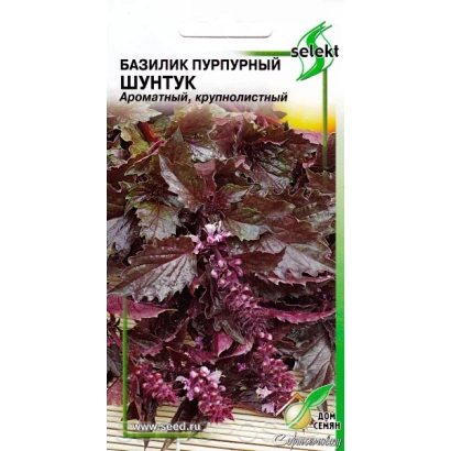 Seed packet of basil Shuntuk with plant image